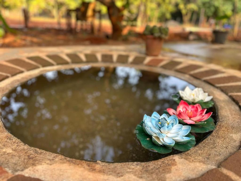 Lotus Garden Guest House オーロヴィル エクステリア 写真